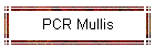PCR Mullis